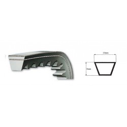 COURROIE AUTOMOBILE AVX10 10x8